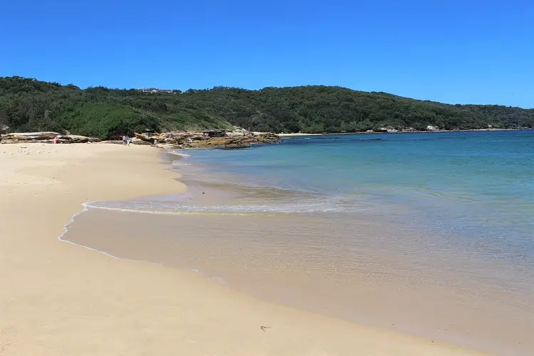 is congwong beach dog friendly