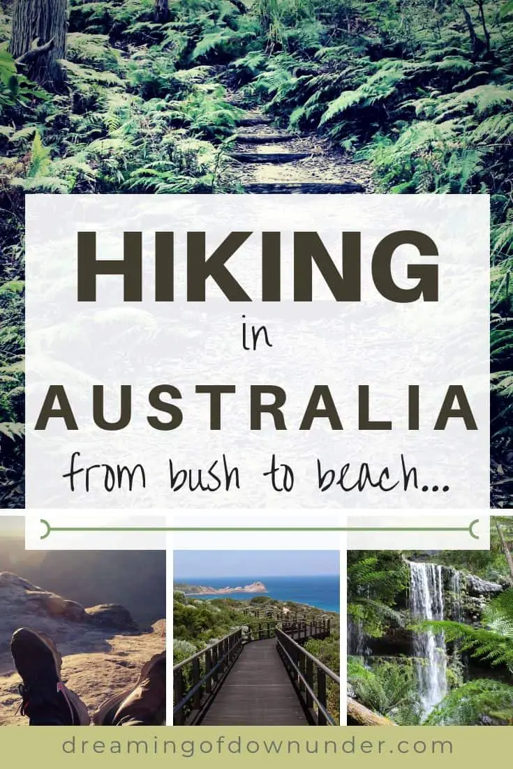 Find out why Australia makes the perfect walking holiday. An overview of hiking in Australia: from bush tracks in national parks to coastal tracks with stunning sea views.