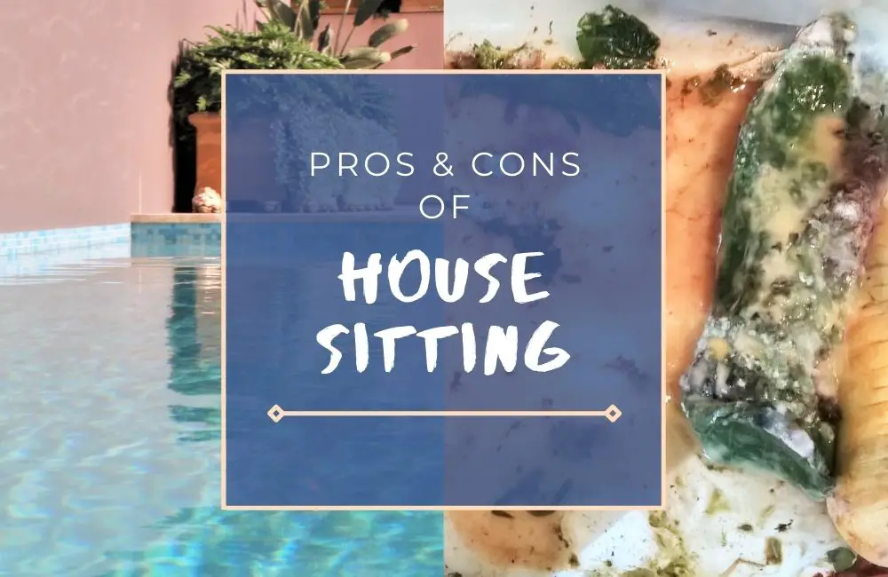 the-pros-and-cons-of-house-sitting-is-it-really-worth-it