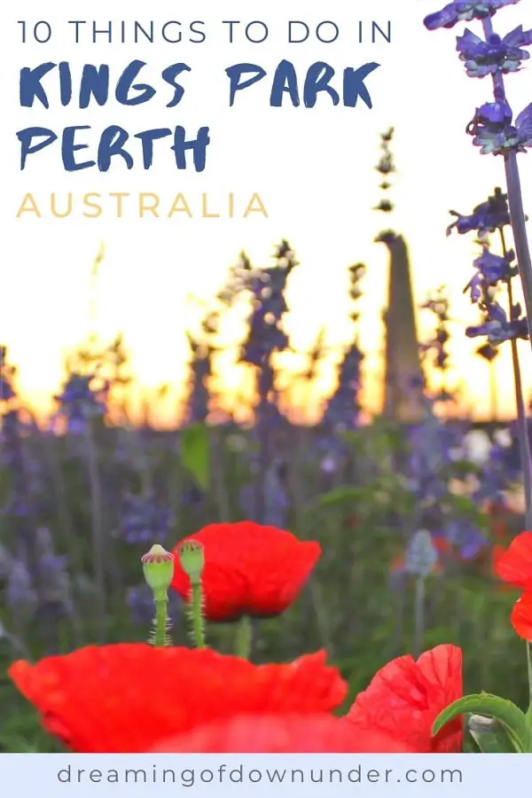 Make the most of your visit to Perth by finding out 15 things to do in Kings Park. Includes bush tracks, amazing Perth viewpoints, cafes, guided tours & the Western Australia Botanic Garden.