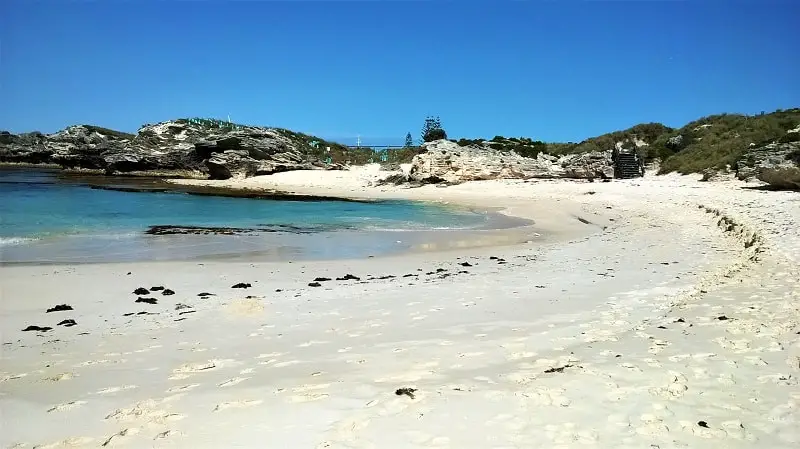Beautiful white sand at Little Parakeet Bay on Rottnest Island on a sunny day.