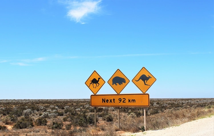 Road sign in Australia warning about camels, wombats and kangaroo.