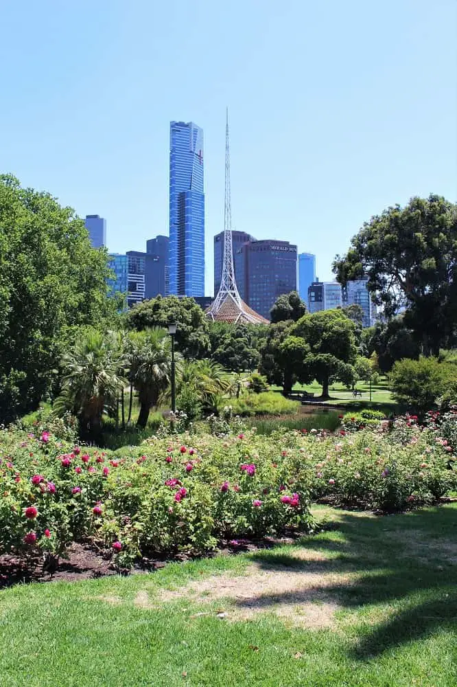 Beautiful trees and flowers at Melbourne Botanic Garden, with city buildings behind.