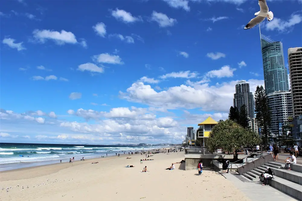A seagull flying over the beach at Surfers Paradise, Gold Coast.