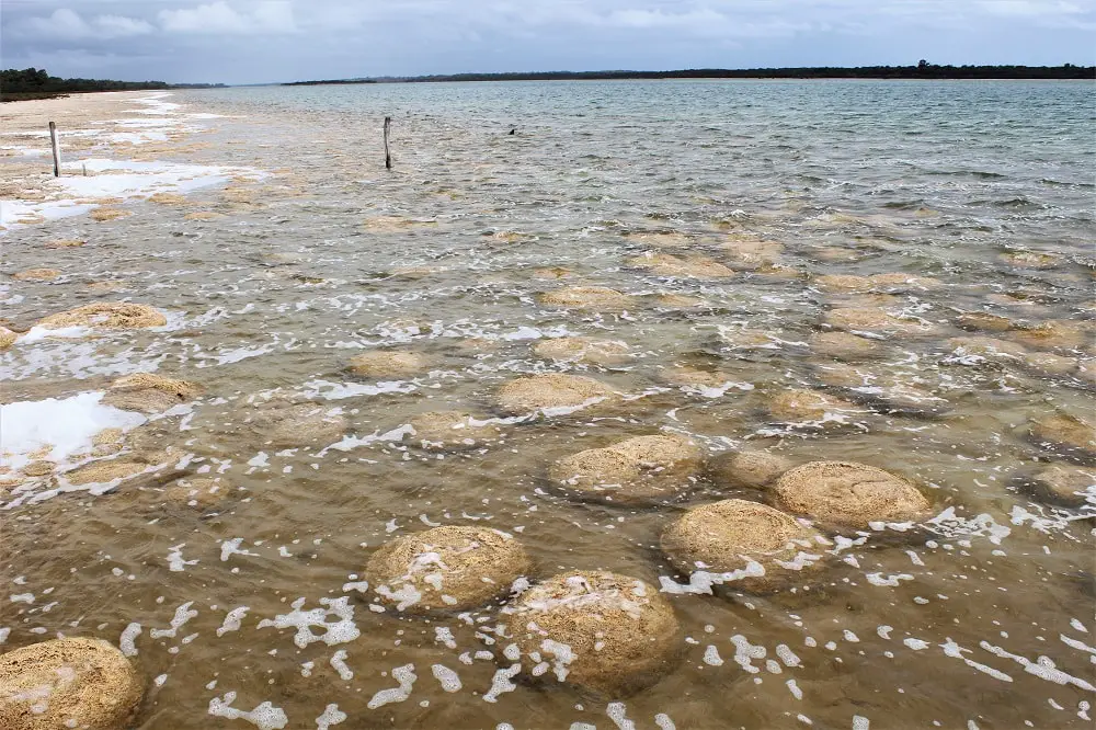 Ancient rocks in the sea called Thrombolites, at Lake Clifton, Yalgorup National Park, WA.