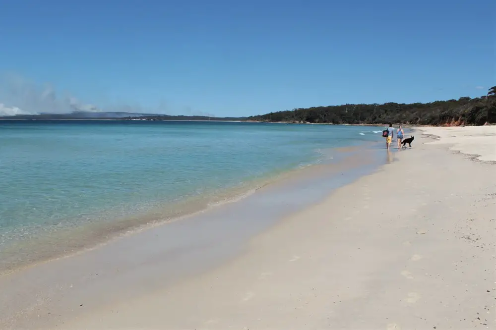 Beautiful Jervis Bay, one of the top weekend trips from Sydney for beach lovers.