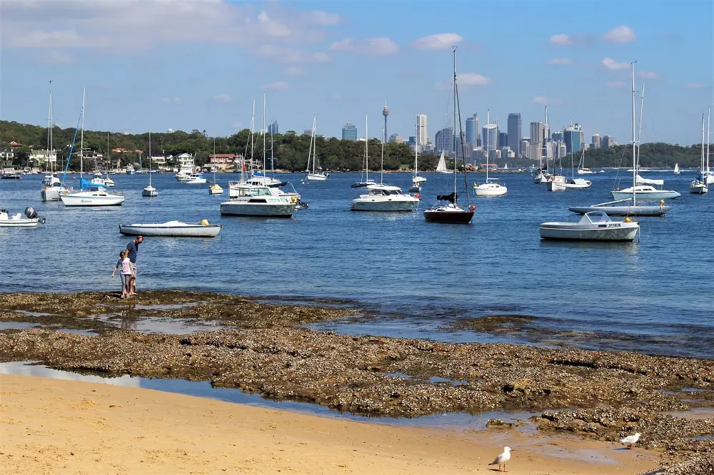 Wharf Beach South in Watsons Bay, with a view of the Sydney skyline behind.
