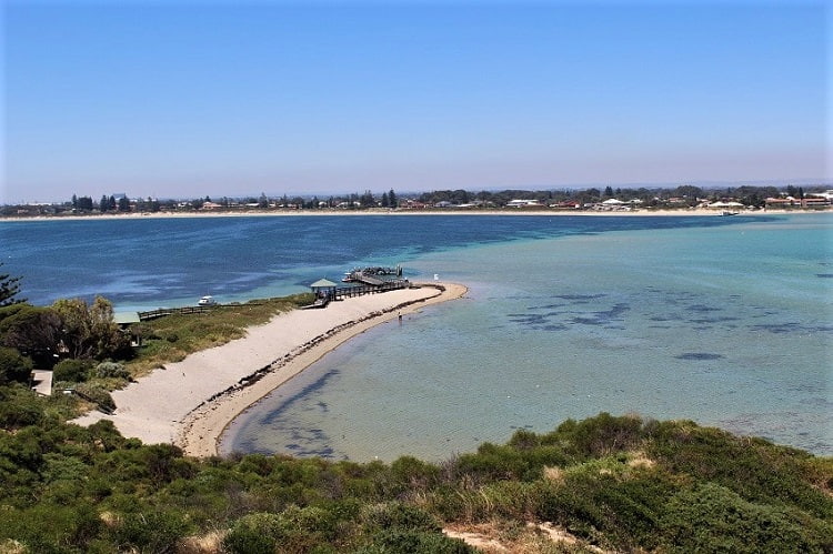 Penguin Island Day Trip Guide: Rugged Shoalwater Scenery