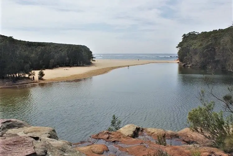 Guide to Wattamolla Beach in the Royal National Park