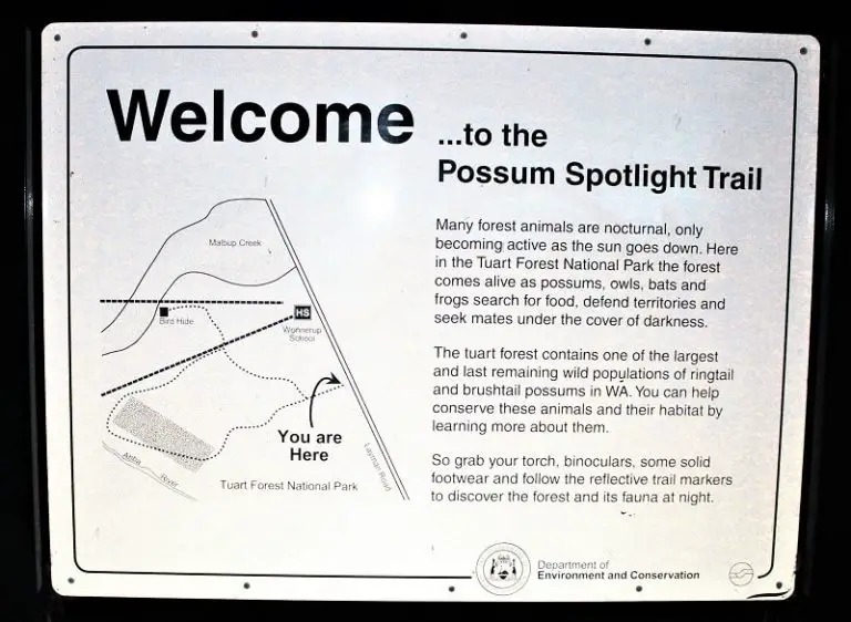 Best Things to Do in Busselton for a Fantastic Holiday Dreaming of