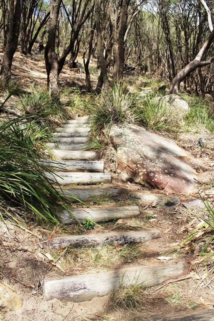 Enjoy a beautiful Sydney day trip on the stunning walk to West Head Lookout in Ku-Ring-Gai Chase National Park. Includes a scenic ferry ride from Palm Beach, secluded Great Mackerel Beach, Resolute Beach & West Head Beach, Pittwater views & ancient Aboriginal art.