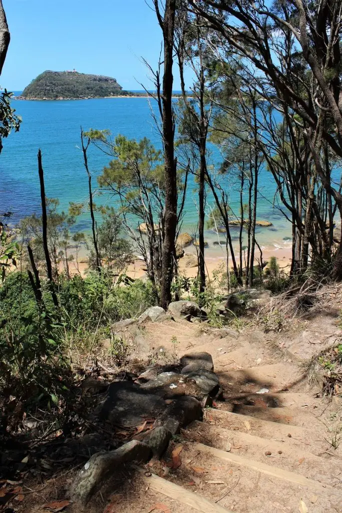 Enjoy a beautiful Sydney day trip on the stunning walk to West Head Lookout in Ku-Ring-Gai Chase National Park. Includes a scenic ferry ride from Palm Beach, secluded Great Mackerel Beach, Resolute Beach & West Head Beach, Pittwater views & ancient Aboriginal art.