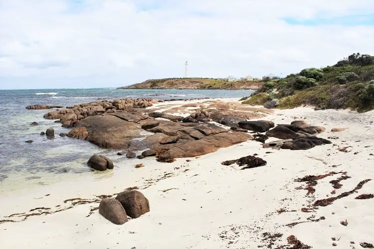 20 beautiful pictures of Hamelin Bay Australia & Cape Leeuwin Lighthouse at Australia's most south-western point. See the Hamelin Bay jetty ruins, Cape Leeuwin waterwheel & dolphins in Augusta Western Australia. The perfect detour from Margaret River.