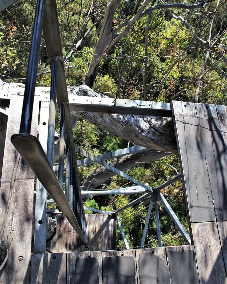 Steep ladder to the top of Dave Evans fire lookout in Western Australia.