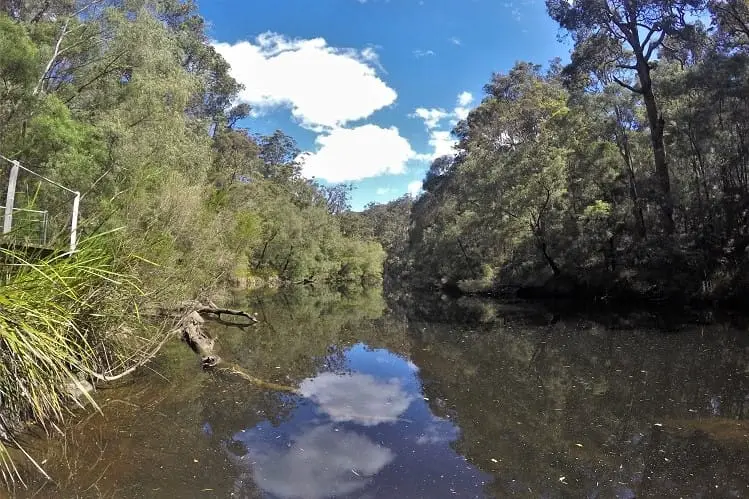 Lake at Maiden Bush on the Karri Explorer Drive, Australia.