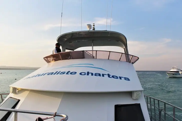 Whale watching boat in Dunsborough with Naturaliste Charters.