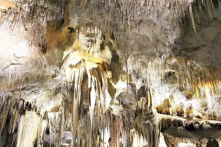 Tantanoola Caves, Australia.