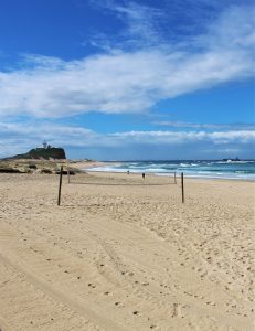 25 Best Beaches In NSW You Have To Visit - Dreaming Of Down Under