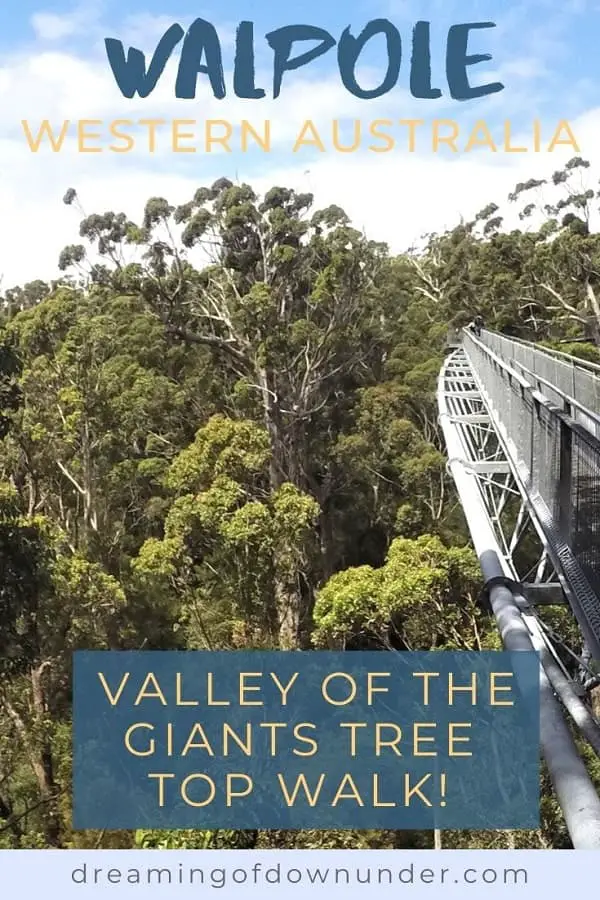Visit the famous Valley of the Giants Australia, a 40 metre-high tree top walk in Walpole WA that lets you admire the vast height of the ancient red tingle trees, some over 400 years old, that are found nowhere else in the world apart from the Walpole Wilderness region of Western Australia.