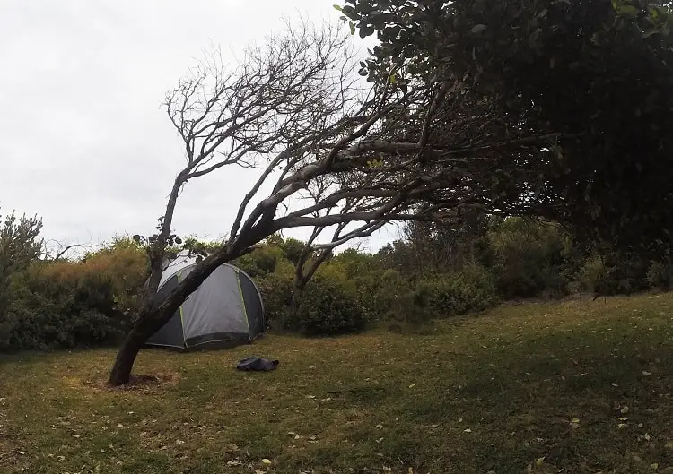 Tent and trees at Betty's Beach in Western Australia.