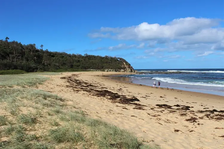 Enjoy a nature-filled trip to The Entrance on Central Coast NSW, Australia, just 90 minutes’ drive from Sydney. Discover amazing beaches, including Shelly Beach and Bateau Bay, short coastal walks and the best places to see from Avoca Beach up to Norah Head.