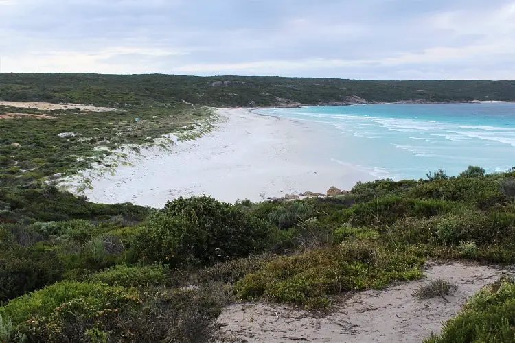 What to see and where to stay in beautiful Bremer Bay WA. Discover amazing beaches, one of Australia’s largest national parks and how to see killer whales in Western Australia!