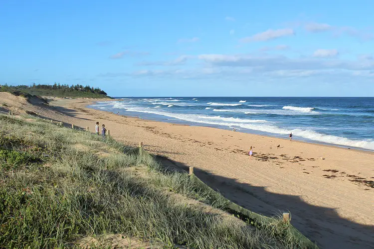 Enjoy a nature-filled trip to The Entrance on Central Coast NSW, Australia, just 90 minutes’ drive from Sydney. Discover amazing beaches, including Shelly Beach and Bateau Bay, short coastal walks and the best places to see from Avoca Beach up to Norah Head.