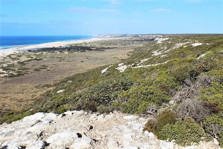 Bunda Cliffs, a free camping ground when crossing the Nullarbor Plain.