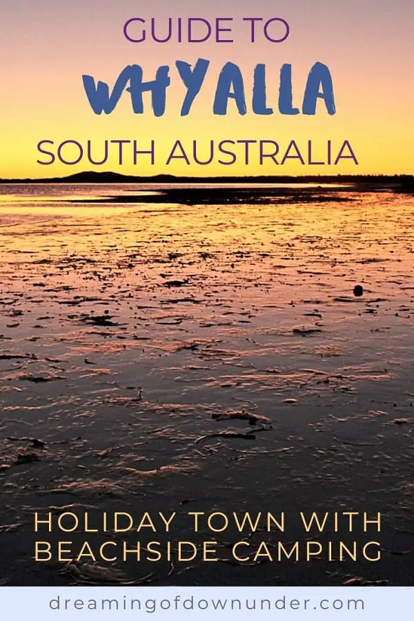 Find out why Whyalla South Australia, on the beautiful Eyre Peninsula, is the perfect destination to end a Perth to Adelaide road trip.