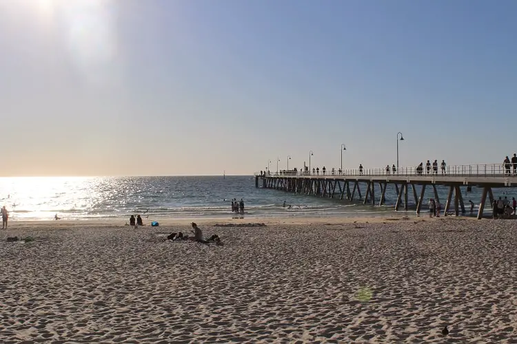 Discover the top 10 things to do in Adelaide Australia, from South Australia beaches to Adelaide city attractions.