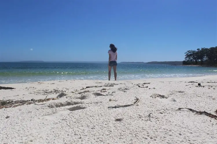 Discover Booderee National Park, Jervis Bay NSW. Enjoy camping, hiking and beautiful beaches like Murrays Beach and Green Patch Beach.