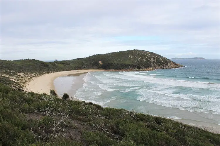 Picnic Bay viewed from the lookout in Wilsons Promontory National Park.