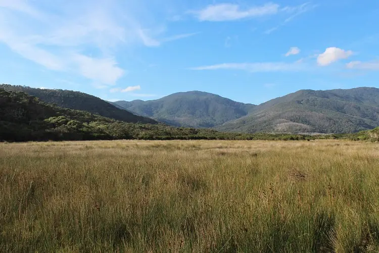 Wilsons Promontory National Park Guide