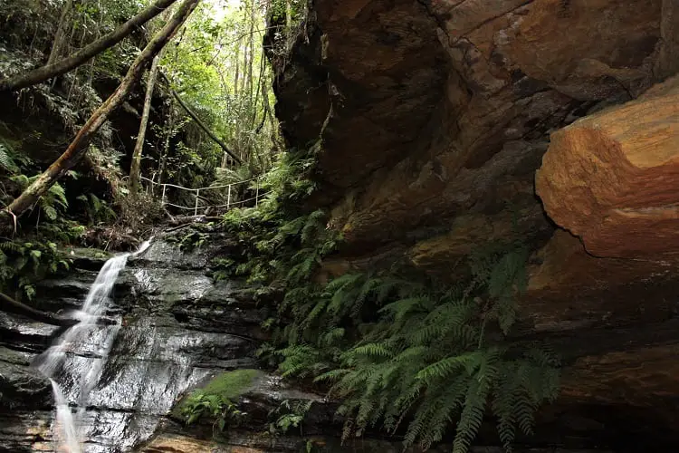 Short walks from Wentworth Falls, Blue Mountains NSW.