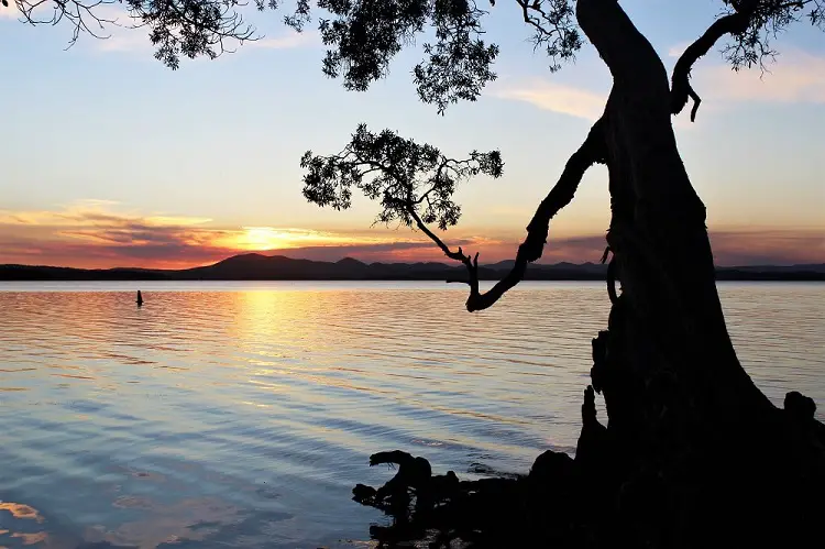 Mungo Brush Camping: Explore Myall Lakes NSW