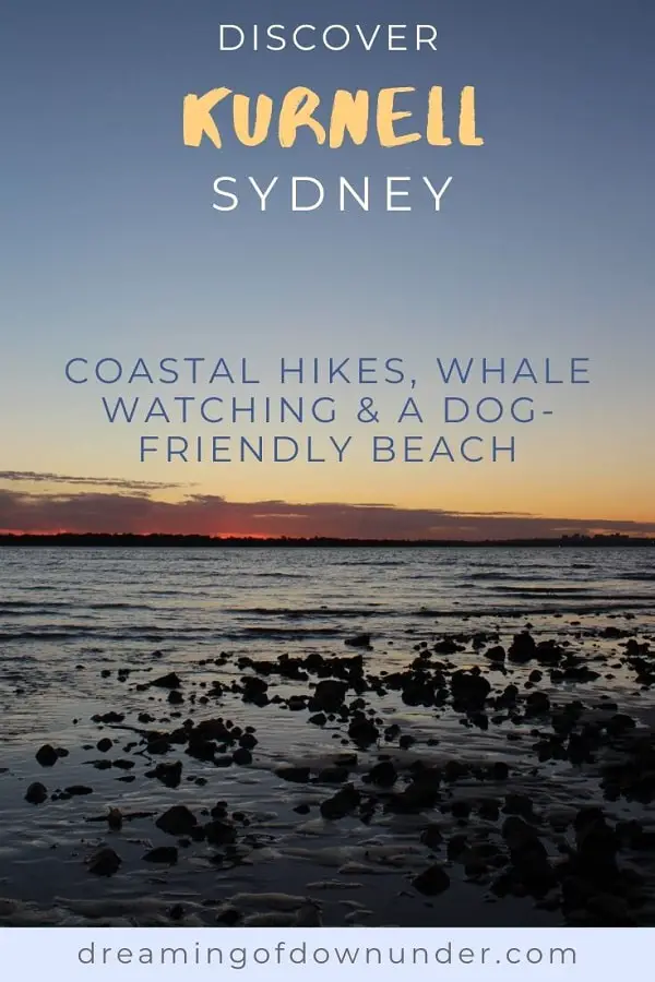 Guide to Kurnell, Sydney: visit Captain Cook's landing place, beautiful dog-friendly Silver Beach & hike to Cape Solander in Kamay Botany Bay National Park.
