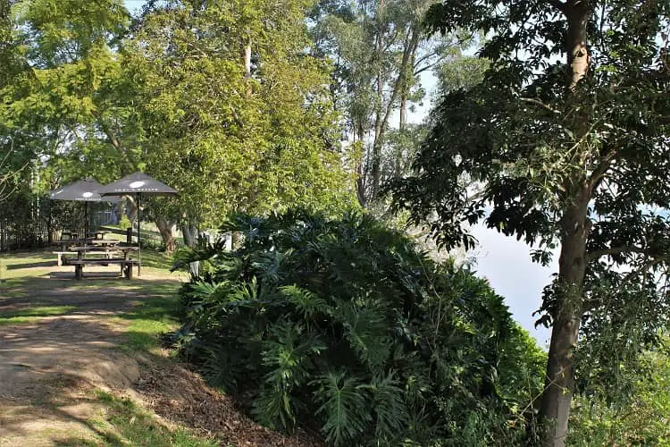 Beautiful riverside garden at Hotel Ulmarra, NSW.