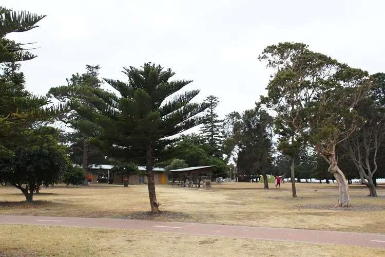 Peter Depena Reserve in Sandringham, Sydney: toilets and barbecue facilities.