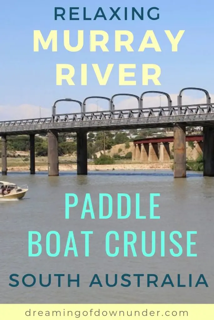 A relaxing Murray River paddle boat cruise in South Australia. The perfect day trip from Adelaide.
