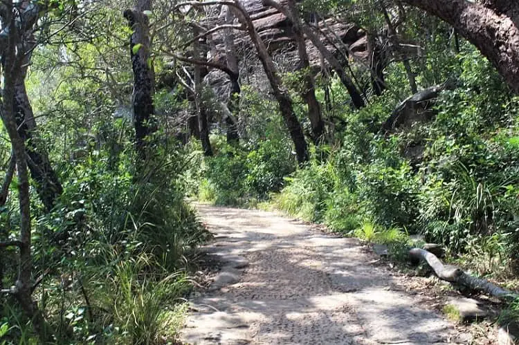 Walking track to Barrenjoey Lighthouse.