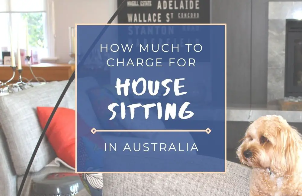 How Much to Charge for House Sitting in Australia
