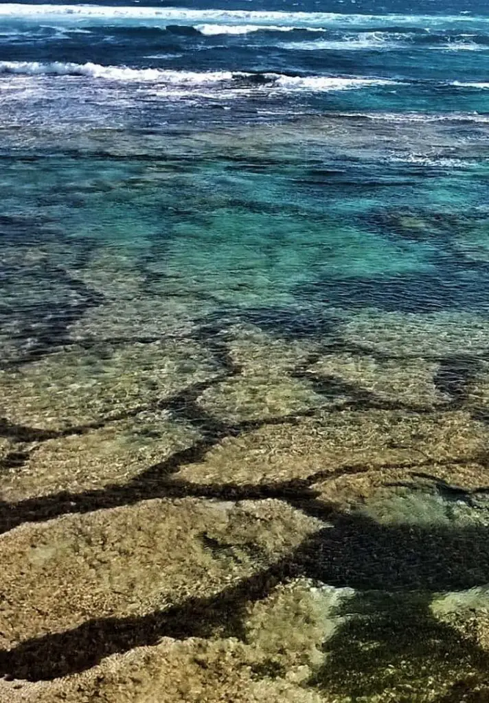 Amazing patchy water at beautiful Rottnest Island, reached on a day trip from Perth, WA.