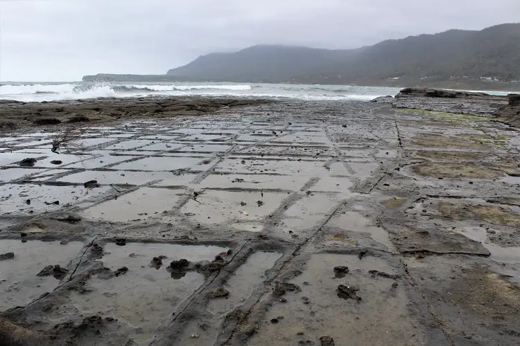 The Tessellated Pavement near Port Arthur, a natural phenomenon on coastal rocks.