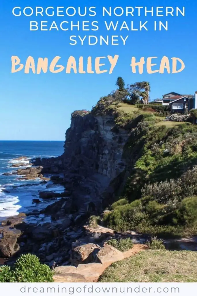 Find out how to find Bangalley Head in Avalon Beach, a beautiful clifftop walk in Sydney.