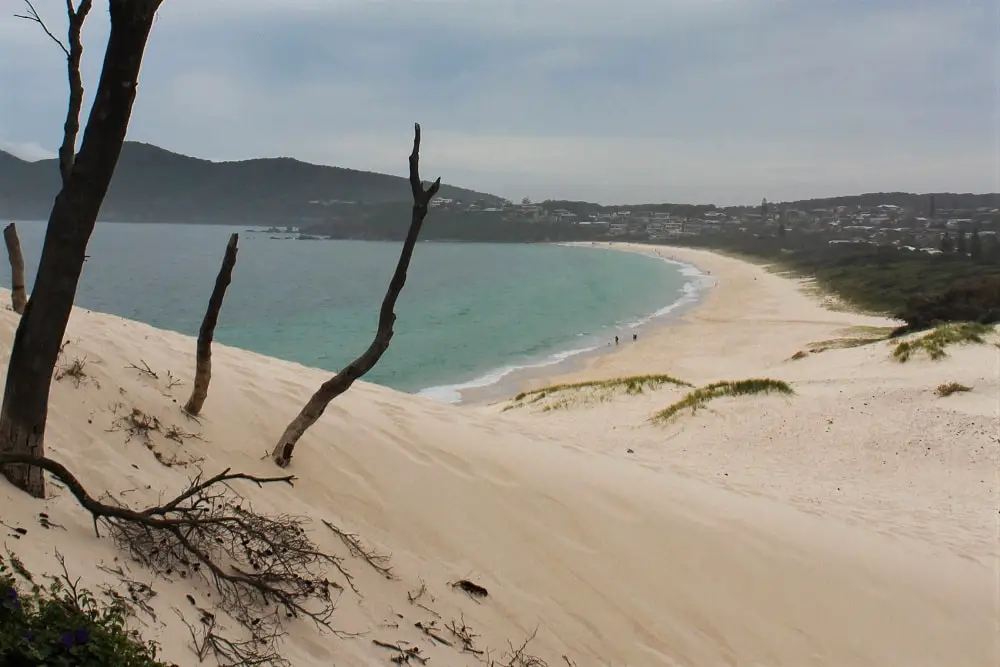 Vast One Mile Beach in the Great Lakes region of NSW.