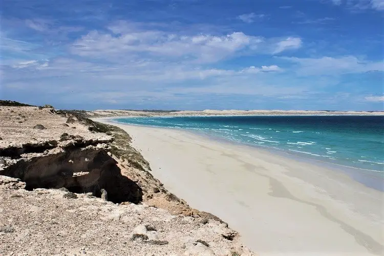 Huge white Gunyah Beach in Coffin Bay National Park on a sunny day.