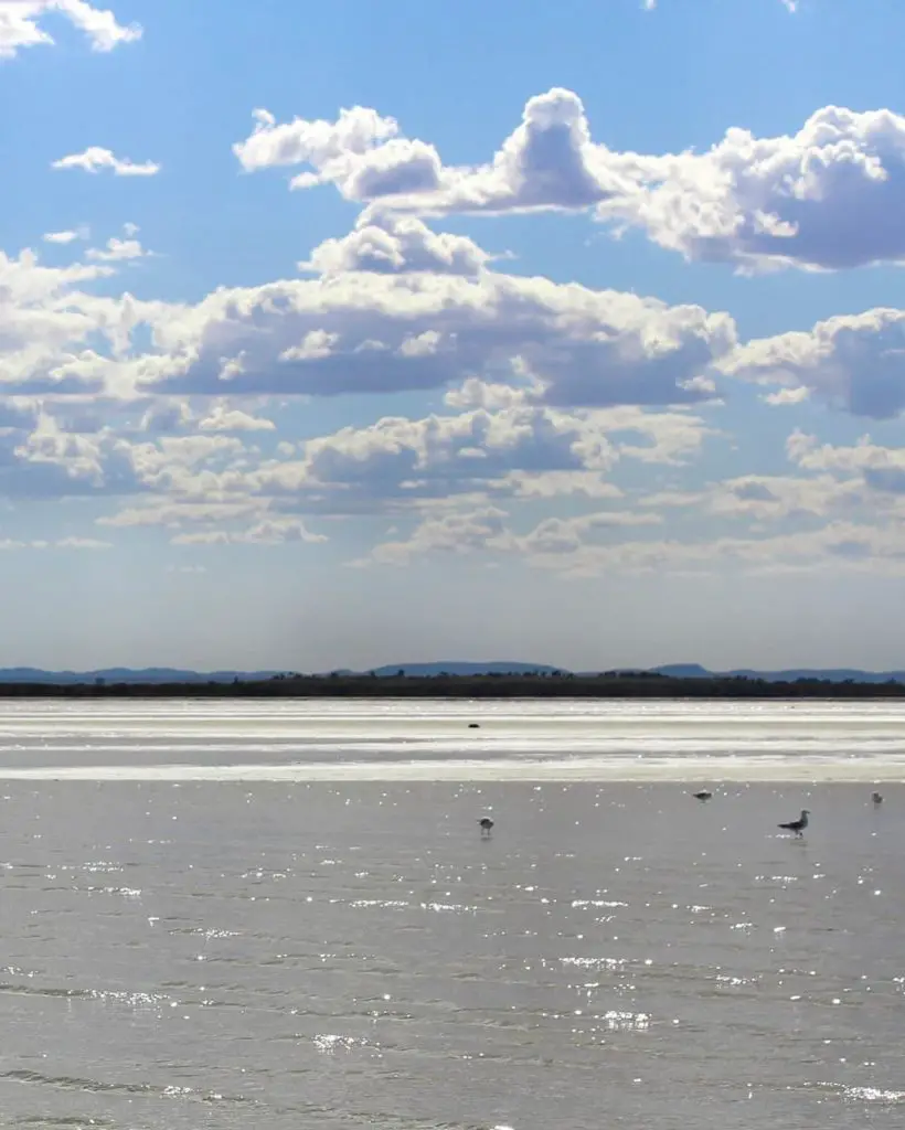 Small clouds and seabirds in the sea in Whyalla, SA.