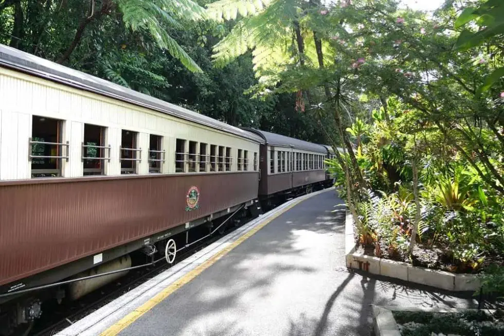 Cairns Skyrail and Train Review Top Things to Do in Kuranda