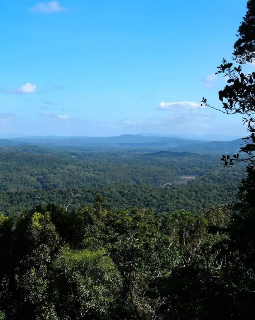 View across the ancient tropical rainforest on the Cairns skyrail to Kuranda.