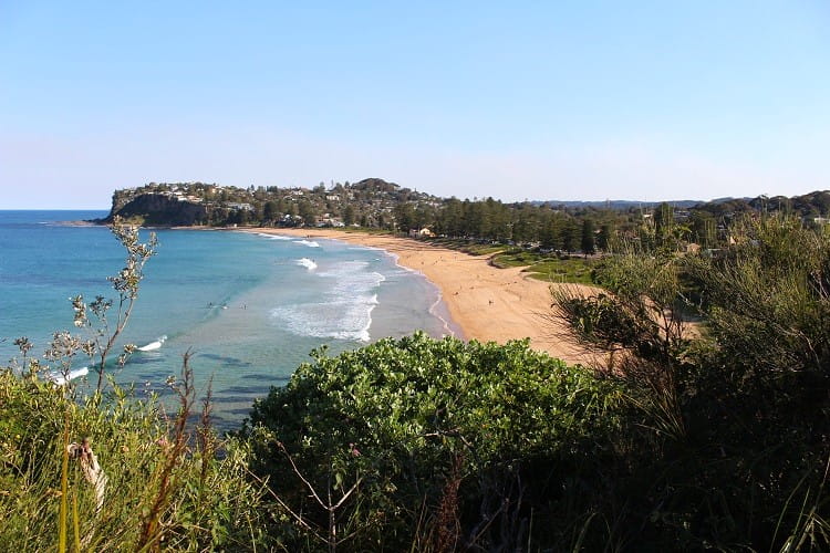 Looking down on Bungan Beach from a hike in the Northern Beaches, NSW.